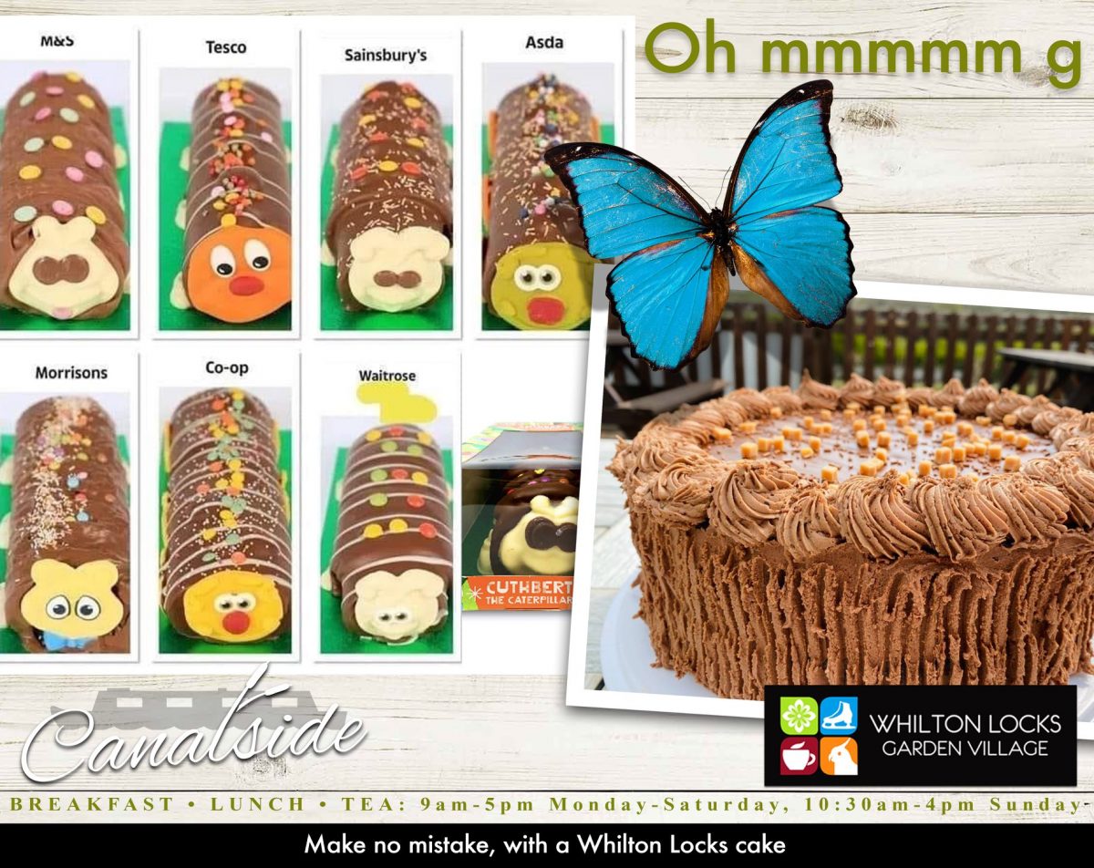 Aldi Cuthbert Cake | Nick Price Creatives Marketing & Design